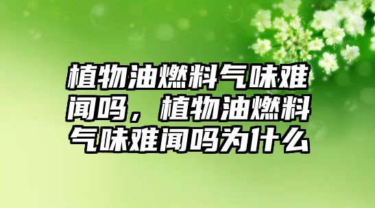 植物油燃料氣味難聞嗎，植物油燃料氣味難聞嗎為什么