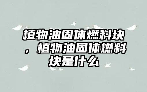 植物油固體燃料塊，植物油固體燃料塊是什么