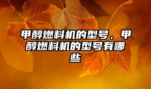 甲醇燃料機的型號，甲醇燃料機的型號有哪些