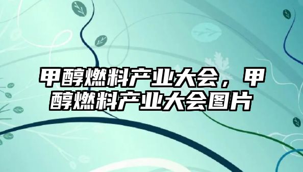 甲醇燃料產(chǎn)業(yè)大會(huì)，甲醇燃料產(chǎn)業(yè)大會(huì)圖片