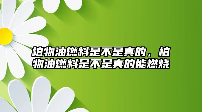 植物油燃料是不是真的，植物油燃料是不是真的能燃燒