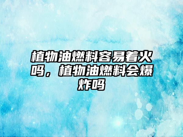 植物油燃料容易著火嗎，植物油燃料會爆炸嗎