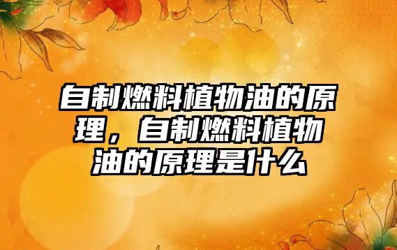自制燃料植物油的原理，自制燃料植物油的原理是什么