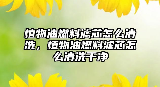 植物油燃料濾芯怎么清洗，植物油燃料濾芯怎么清洗干凈