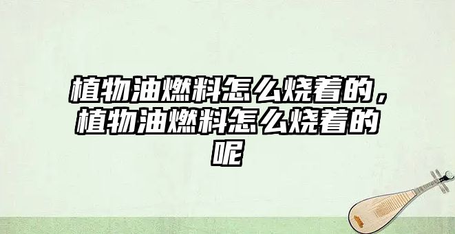 植物油燃料怎么燒著的，植物油燃料怎么燒著的呢