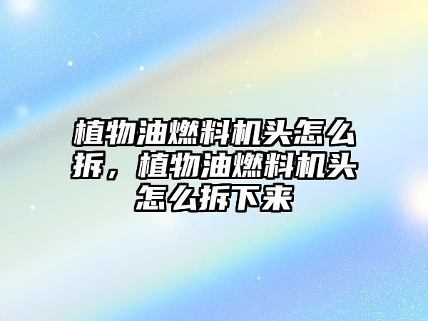 植物油燃料機頭怎么拆，植物油燃料機頭怎么拆下來