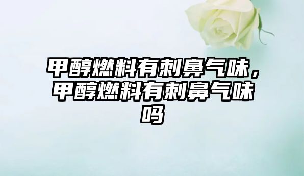 甲醇燃料有刺鼻氣味，甲醇燃料有刺鼻氣味嗎