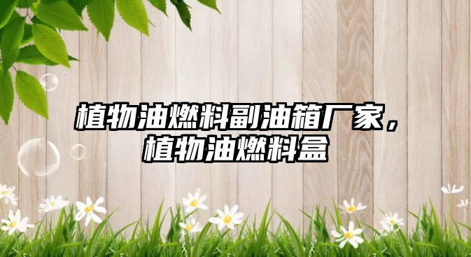 植物油燃料副油箱廠家，植物油燃料盒