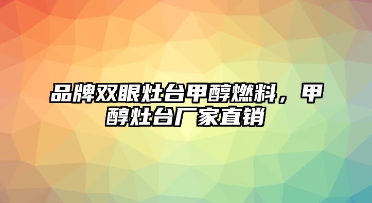 品牌雙眼灶臺甲醇燃料，甲醇灶臺廠家直銷