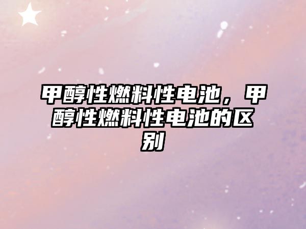 甲醇性燃料性電池，甲醇性燃料性電池的區(qū)別
