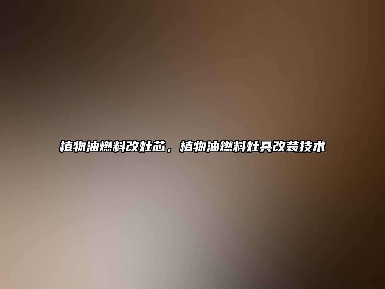 植物油燃料改灶芯，植物油燃料灶具改裝技術(shù)