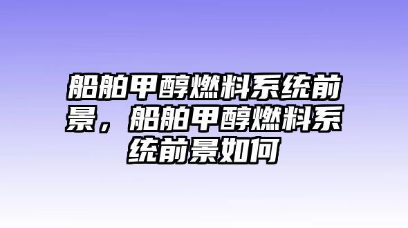 船舶甲醇燃料系統(tǒng)前景，船舶甲醇燃料系統(tǒng)前景如何