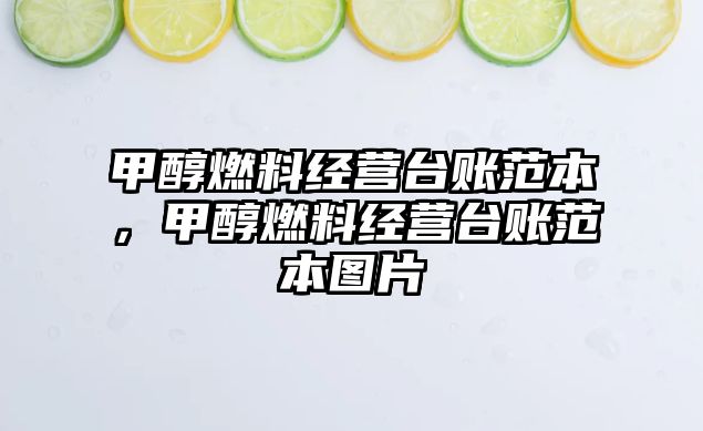 甲醇燃料經(jīng)營(yíng)臺(tái)賬范本，甲醇燃料經(jīng)營(yíng)臺(tái)賬范本圖片