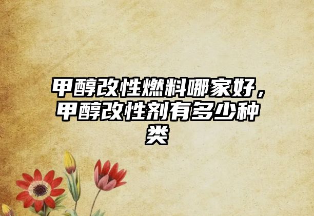 甲醇改性燃料哪家好，甲醇改性劑有多少種類