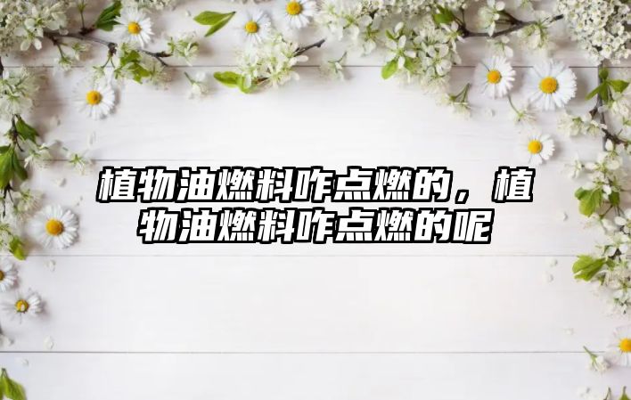 植物油燃料咋點燃的，植物油燃料咋點燃的呢