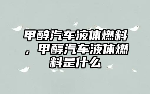 甲醇汽車(chē)液體燃料，甲醇汽車(chē)液體燃料是什么