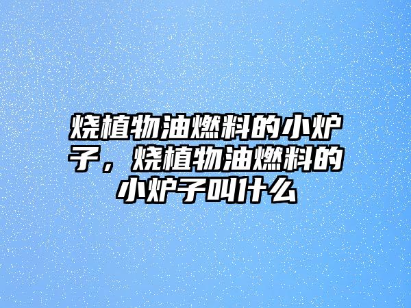 燒植物油燃料的小爐子，燒植物油燃料的小爐子叫什么
