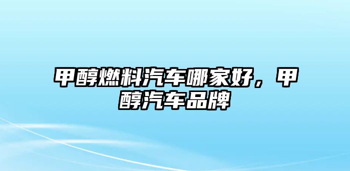 甲醇燃料汽車哪家好，甲醇汽車品牌