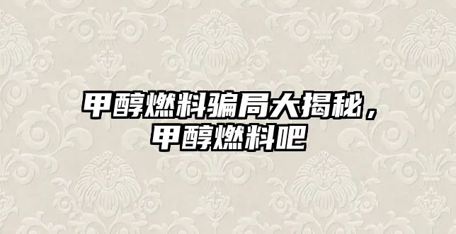 甲醇燃料騙局大揭秘，甲醇燃料吧