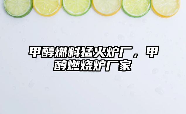甲醇燃料猛火爐廠，甲醇燃燒爐廠家