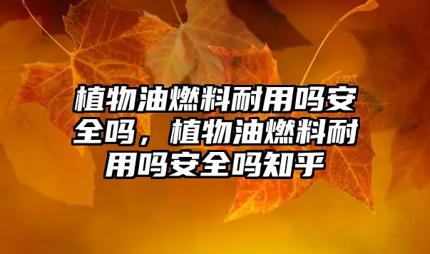 植物油燃料耐用嗎安全嗎，植物油燃料耐用嗎安全嗎知乎