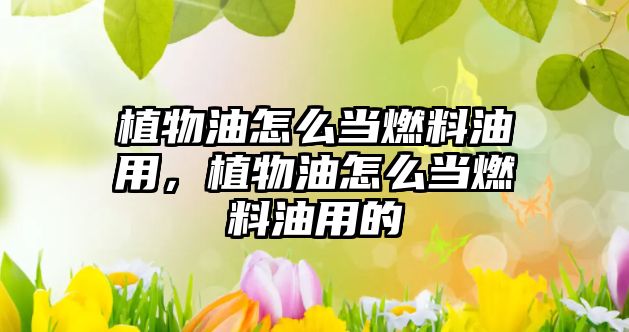 植物油怎么當(dāng)燃料油用，植物油怎么當(dāng)燃料油用的