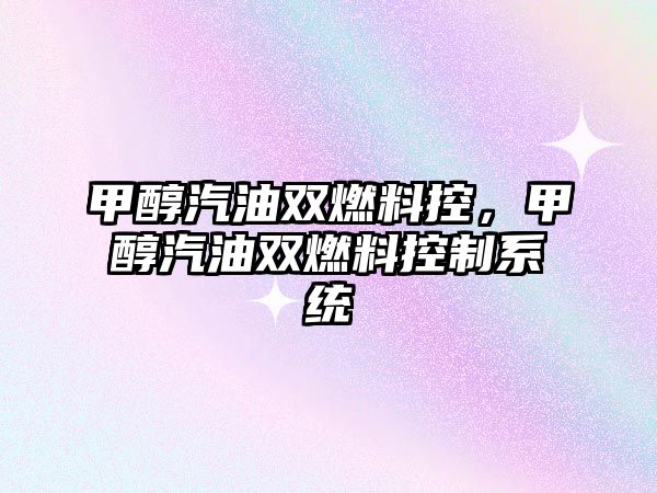 甲醇汽油雙燃料控，甲醇汽油雙燃料控制系統(tǒng)