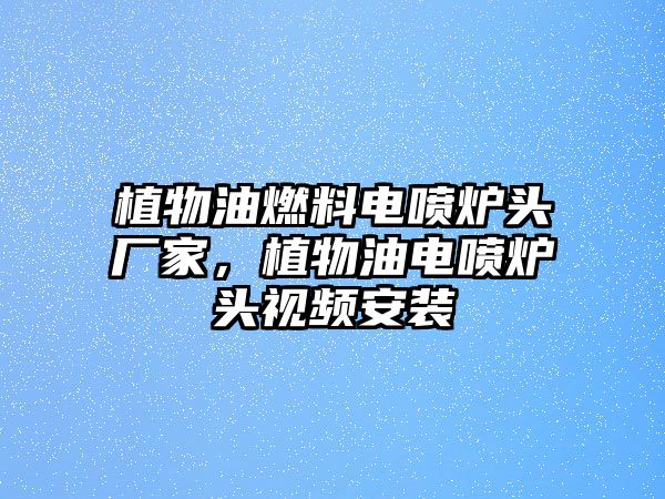 植物油燃料電噴爐頭廠家，植物油電噴爐頭視頻安裝
