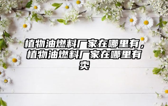 植物油燃料廠家在哪里有，植物油燃料廠家在哪里有賣