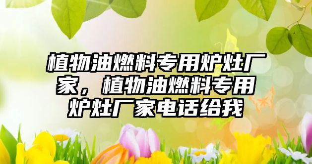 植物油燃料專用爐灶廠家，植物油燃料專用爐灶廠家電話給我