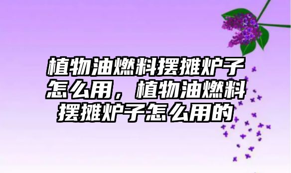 植物油燃料擺攤爐子怎么用，植物油燃料擺攤爐子怎么用的