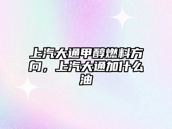 上汽大通甲醇燃料方向，上汽大通加什么油