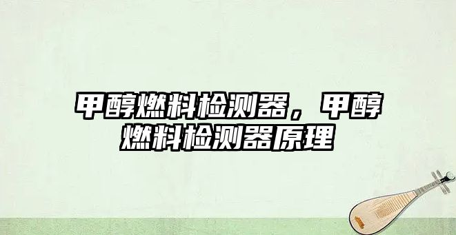 甲醇燃料檢測器，甲醇燃料檢測器原理