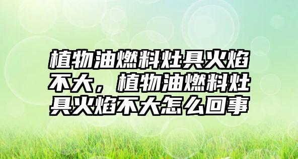 植物油燃料灶具火焰不大，植物油燃料灶具火焰不大怎么回事
