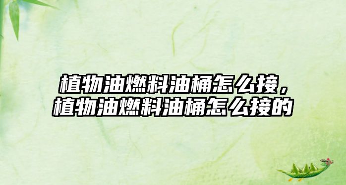 植物油燃料油桶怎么接，植物油燃料油桶怎么接的