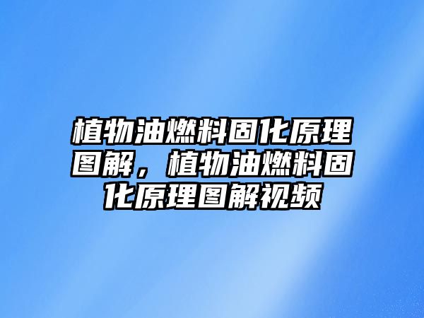 植物油燃料固化原理圖解，植物油燃料固化原理圖解視頻