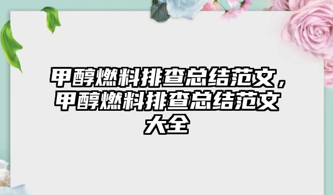 甲醇燃料排查總結(jié)范文，甲醇燃料排查總結(jié)范文大全