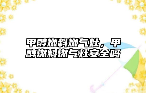 甲醇燃料燃?xì)庠?，甲醇燃料燃?xì)庠畎踩珕? class=