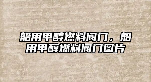 船用甲醇燃料閥門，船用甲醇燃料閥門圖片