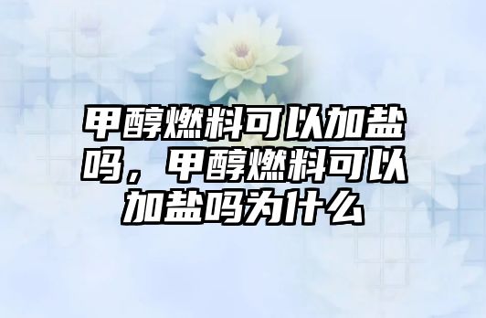 甲醇燃料可以加鹽嗎，甲醇燃料可以加鹽嗎為什么