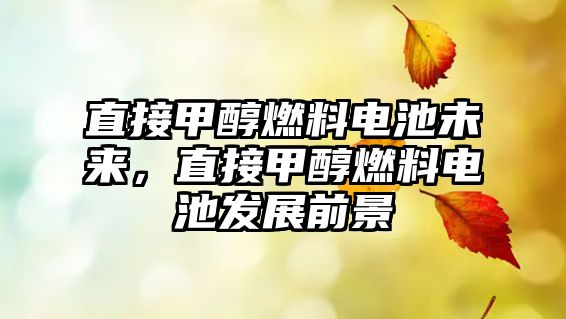 直接甲醇燃料電池未來(lái)，直接甲醇燃料電池發(fā)展前景