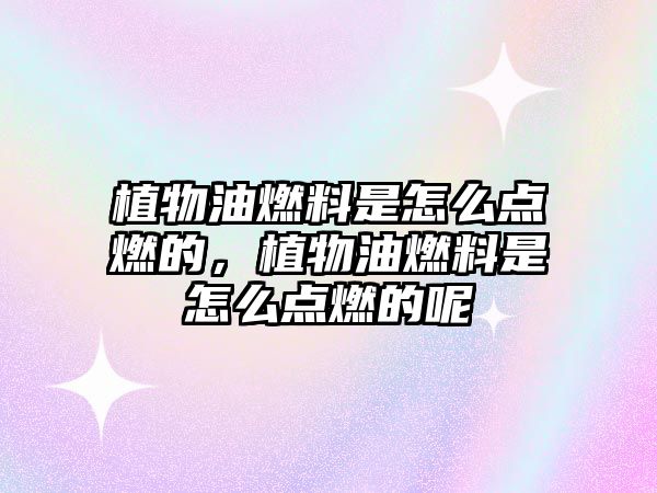 植物油燃料是怎么點燃的，植物油燃料是怎么點燃的呢
