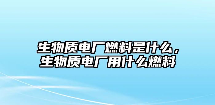 生物質(zhì)電廠燃料是什么，生物質(zhì)電廠用什么燃料