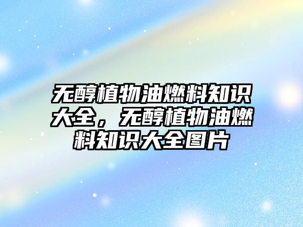 無醇植物油燃料知識大全，無醇植物油燃料知識大全圖片