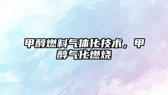 甲醇燃料氣體化技術(shù)，甲醇?xì)饣紵? class=