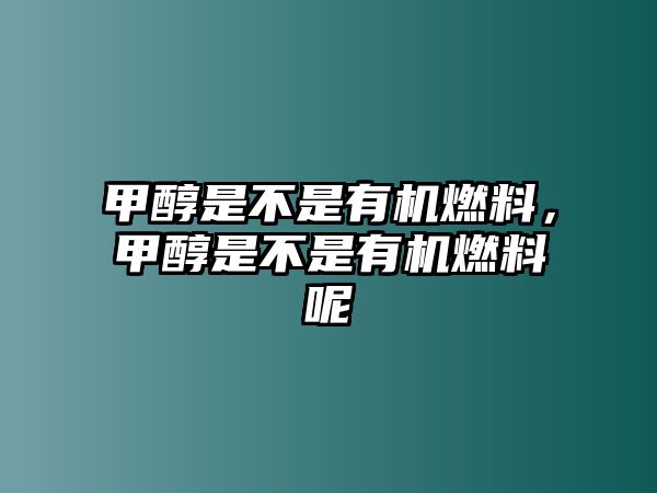 甲醇是不是有機燃料，甲醇是不是有機燃料呢
