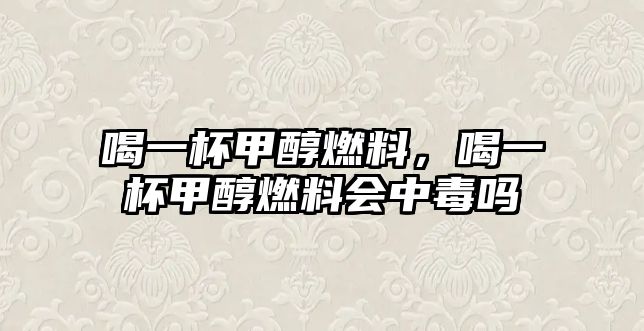 喝一杯甲醇燃料，喝一杯甲醇燃料會中毒嗎