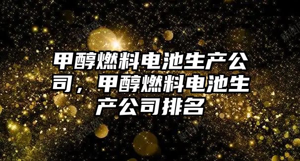 甲醇燃料電池生產(chǎn)公司，甲醇燃料電池生產(chǎn)公司排名