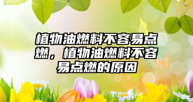 植物油燃料不容易點(diǎn)燃，植物油燃料不容易點(diǎn)燃的原因