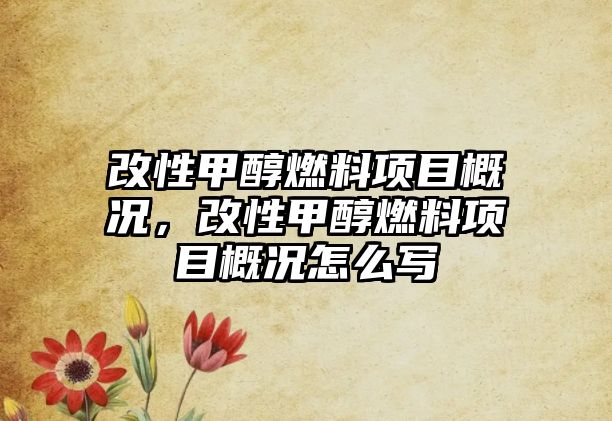 改性甲醇燃料項(xiàng)目概況，改性甲醇燃料項(xiàng)目概況怎么寫(xiě)